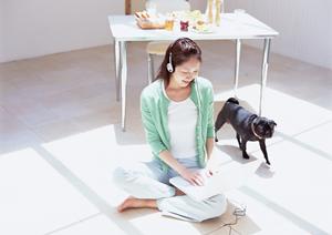 シロアリ駆除の専門サービス「アサンテ」｜即日対応・土日祝も受付可能な安心の施工実績