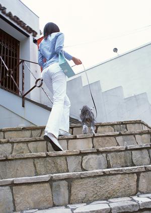 札幌市中央区にある緑の森動物病院 さっぽろ病院：ストレスフリーな動物医療と安心の環境提供